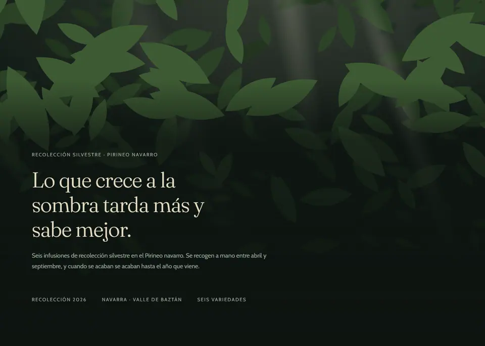 Sotobosque — Marca de bienestar con luz filtrada entre hojas y desplazamiento en capas de parallax.